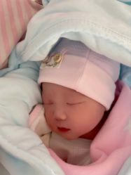-白领安琪儿妇产医院•早孕•产检•月子中心