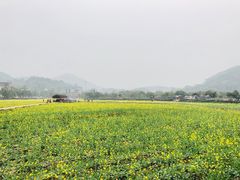 -红山村