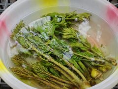 -海窝子古镇
