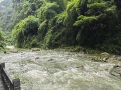 -三峡人家风景区