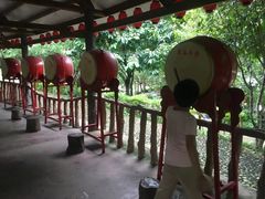 -揭东万竹园旅游景区