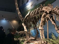 -自贡恐龙博物馆