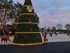 -深圳湾万象城(南山店)