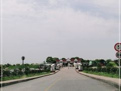-上海都市菜园