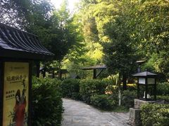 -明月山天沐温泉度假村