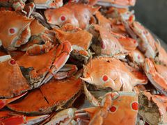 梭子蟹-视界美食自助餐厅·石家庄希尔顿酒店