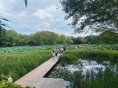 -西溪国家湿地公园