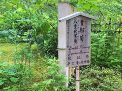 -天龙寺