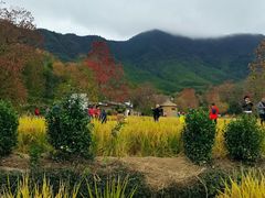 -塔川景区