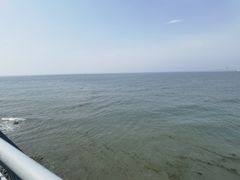 -星海湾跨海大桥