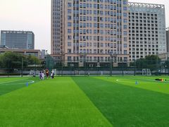 -小赛虎少儿足球培训(南翔校区)