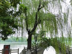 -济南大明湖景区