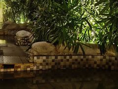 -三江森林温泉度假区