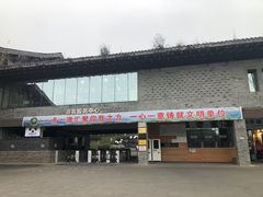 -都江堰中华大熊猫苑