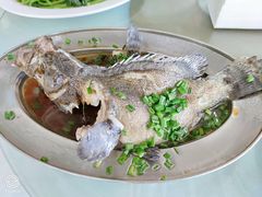 -红月湾海鲜饭店•沙滩海景(双月湾店)
