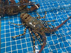 -三亚火车头万人海鲜广场