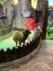 -宝燕乐园(闵行旗舰店)