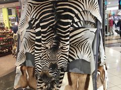 -奥利弗·雷金纳德·坦博国际机场