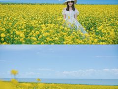 -青海湖国家重点风景名胜区