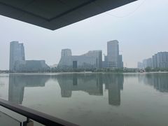 -金沙湖公园