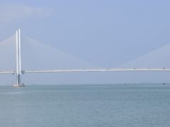 -万绿园