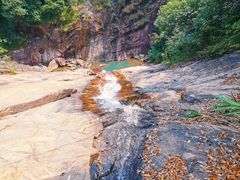 -广州白江湖森林公园