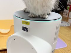 -翊宠yipet猫狗购宠庄园犬舍•猫舍