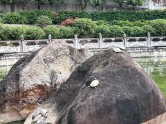 -黄埔油麻山森林公园