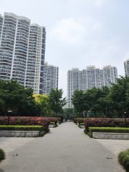 -宝丽姿