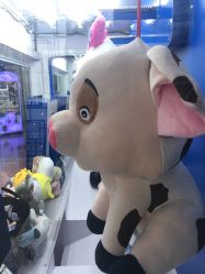 点击看大图 -嗨翻Hi-Fun竞技主题乐园·蹦床团建生日聚会(五棵松华熙店)