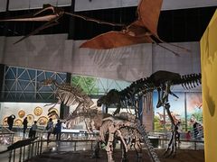 -湖南省地质博物馆