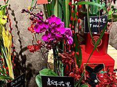 -浦鸿会游泳健身中心·Ambassy Club PD(金桥碧云国际社区店)