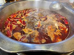 -金鼎雪山牦牛杂火锅(理县总店)