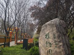 -洛阳市隋唐城遗址植物园