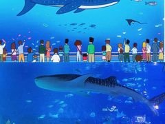 -烟台海昌鲸鲨海洋公园