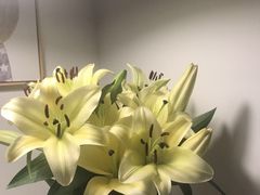 -双季花艺园艺市场(浦东店)