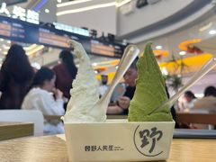-野人先生Gelato(上海长宁龙之梦店)