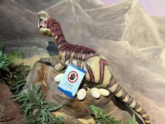 -安徽省地质博物馆