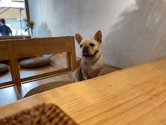 -冰拾叁(新都店)