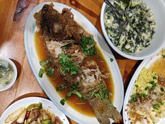 -齐河·老东家·民间菜·地标特色美食