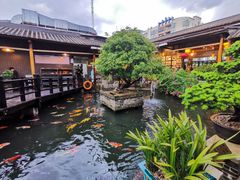 -猪肉婆私房菜(容桂总店)
