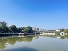 -八大山人梅湖景区