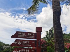 -亚龙湾国际玫瑰谷