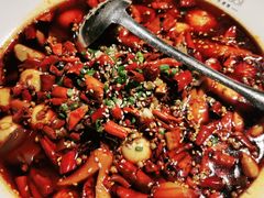-胡桃里音乐酒馆(罗湖HALO广场店)