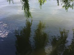 -长春市南湖公园