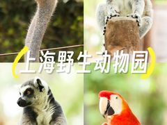 -上海野生动物园