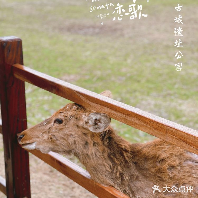 杭州小奈良 | 良渚古城遗址公园