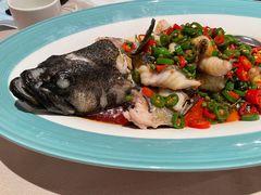 青椒龙趸鱼-尚一汤·粤菜海鲜(环球港店)