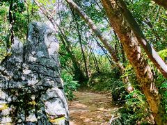 -普者黑风景区-青龙山