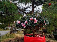 -万景茶庄·台州菜